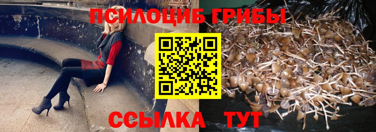 Галлюциногенные грибы Cubensis  Вход с VPN  Сатка 