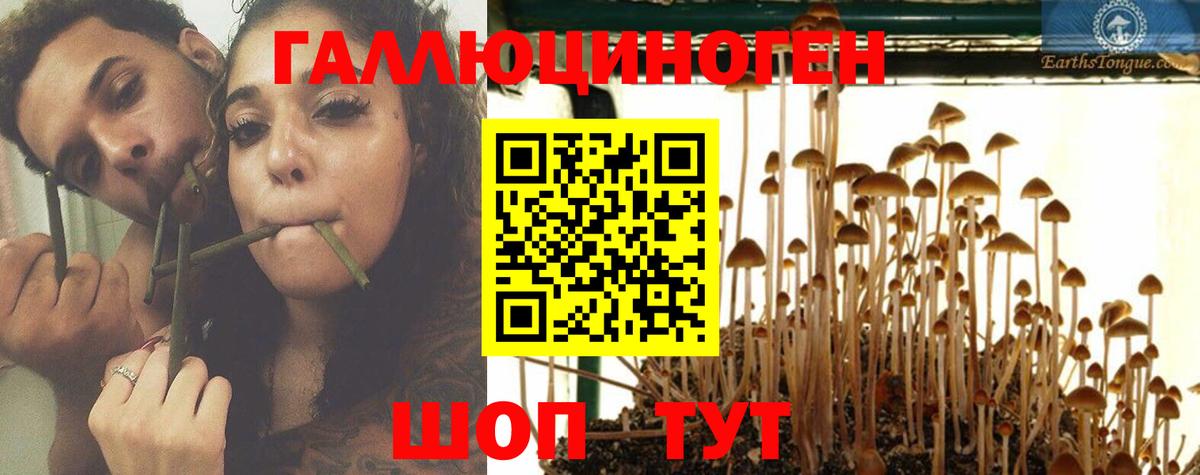 Галлюциногенные грибы GOLDEN TEACHER Сатка